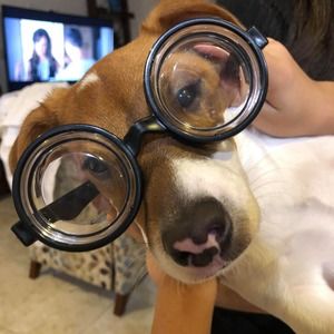 Meet your Posher, Maty